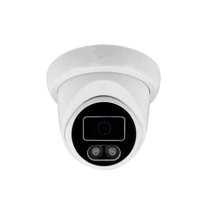 Audio warmlight TVI camera